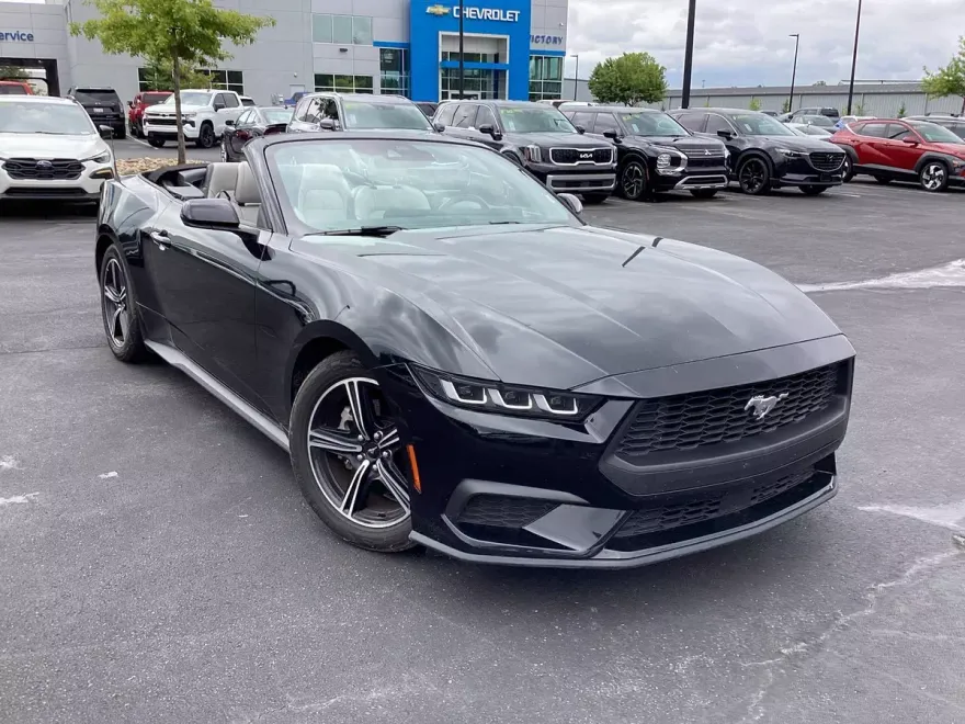 2024 Ford Mustang EcoBoost Convertible photo 1