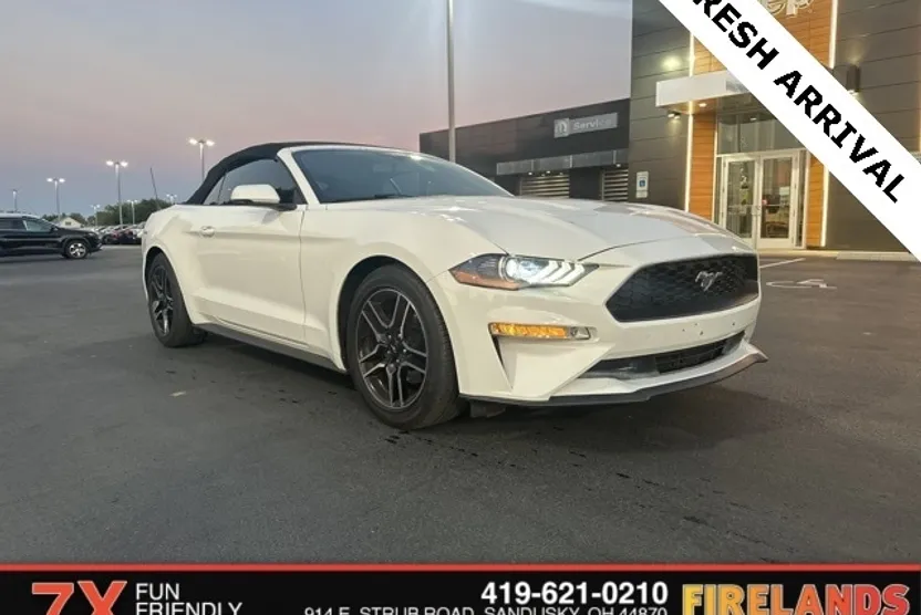 2019 Ford Mustang EcoBoost Premium photo 1