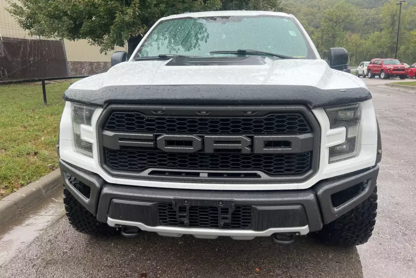 2017 Ford F-150 Raptor photo 1