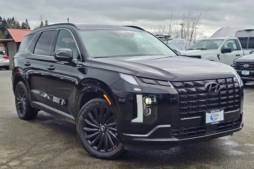 2025 Hyundai Palisade Calligraphy photo 1