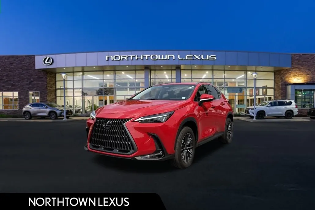2022 Lexus NX 250 photo 1