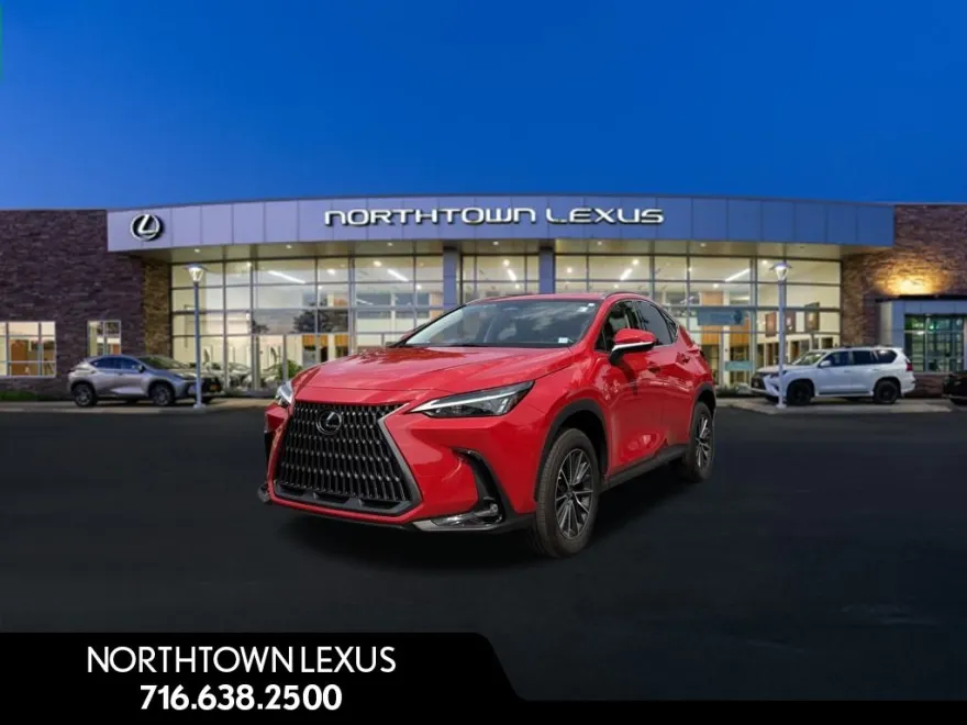 2022 Lexus NX 250 photo 1