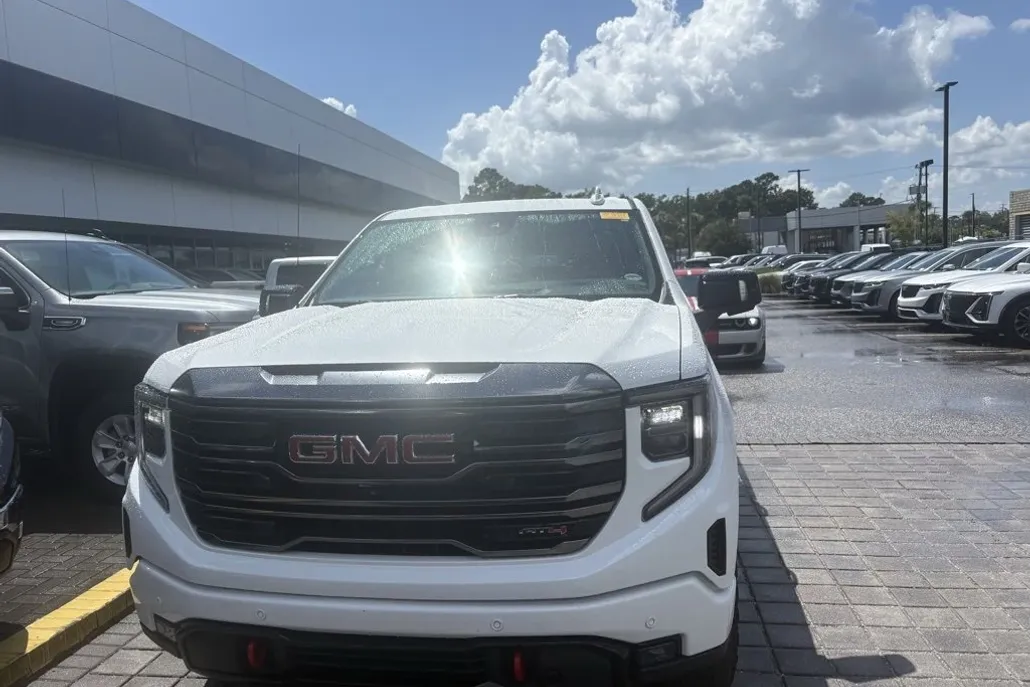 2020 Gmc Sierra 1500 AT4 photo 1