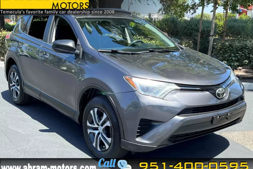 2017 Toyota RAV4 LE photo 1