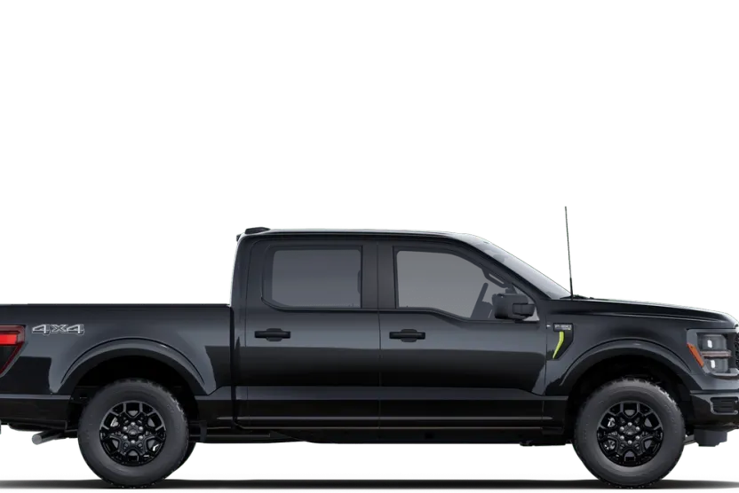 2025 Ford F-150 STX photo 12