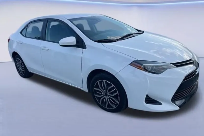 2019 Toyota Corolla L photo 1