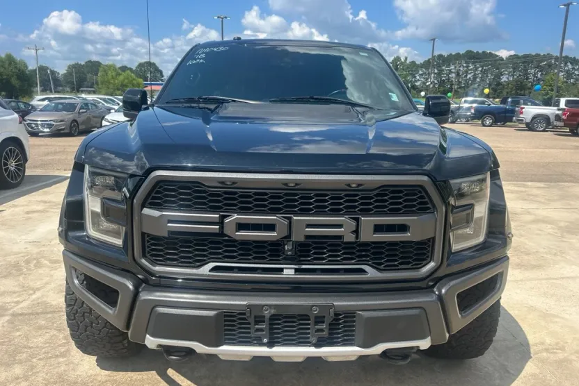 2018 Ford F-150 Raptor photo 1