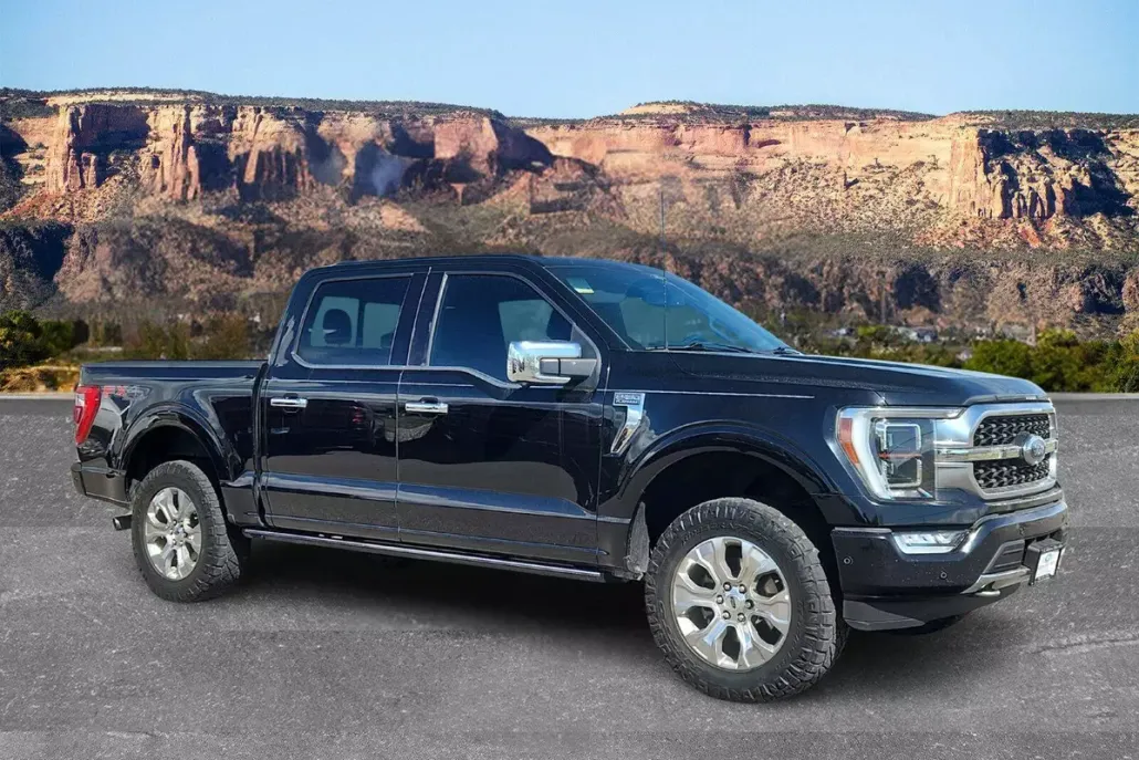 2021 Ford F-150 Platinum photo 1