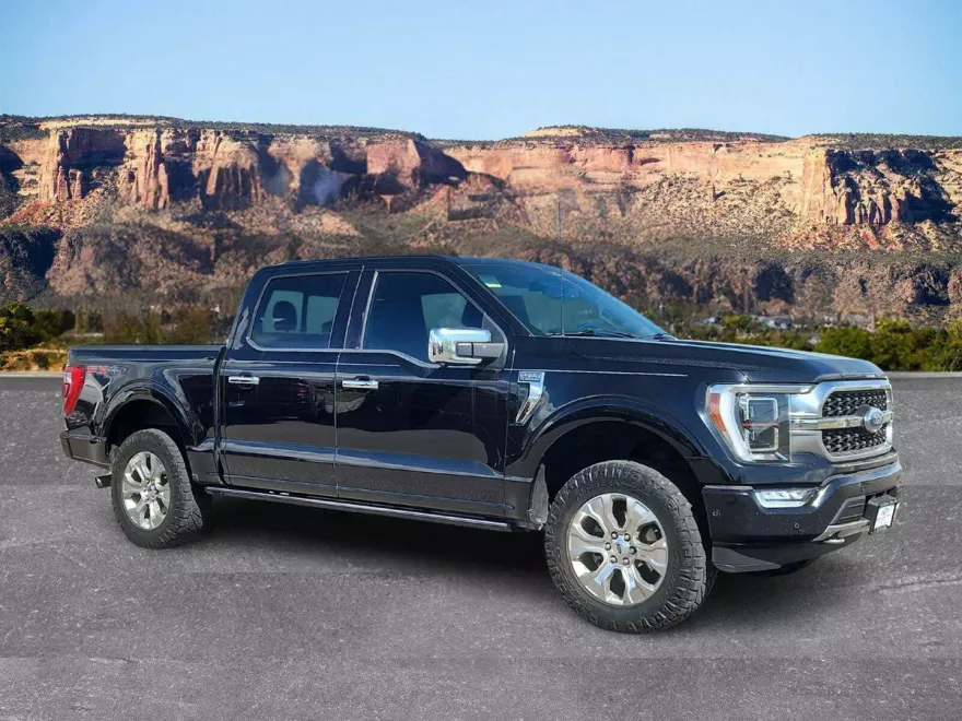 2021 Ford F-150 Platinum photo 1