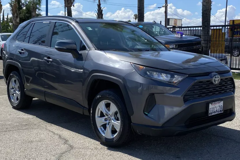 2019 Toyota RAV4 Hybrid LE photo 1