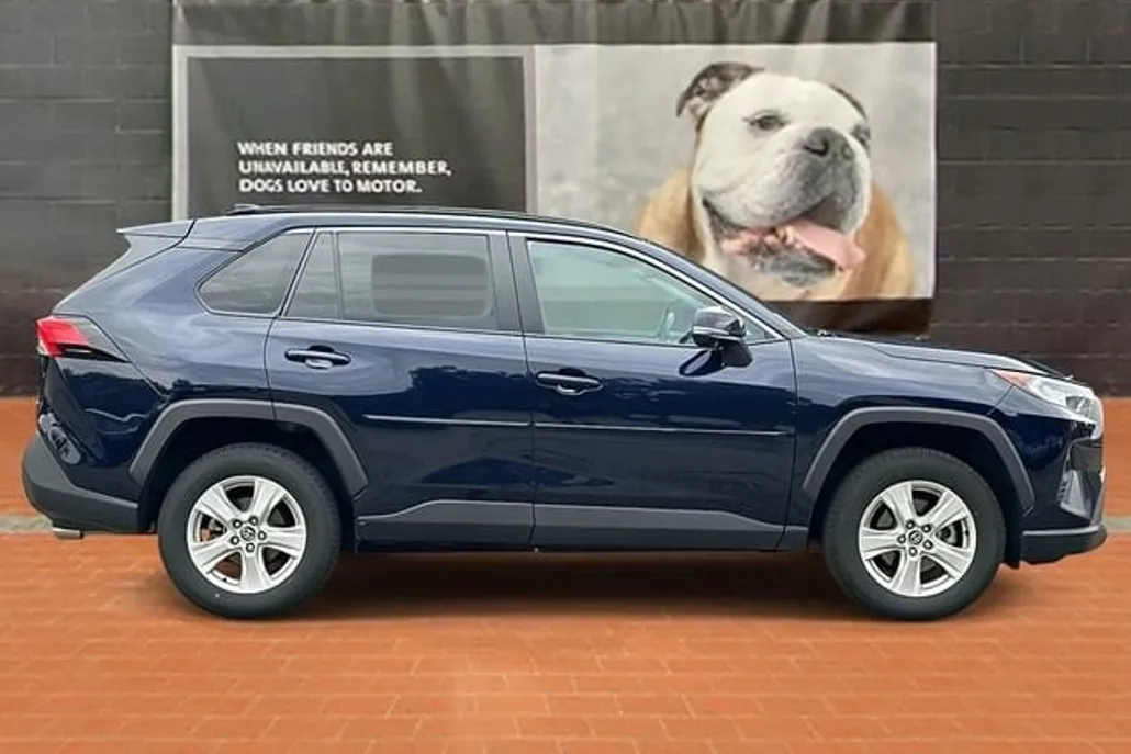 2020 Toyota RAV4 XLE photo 1