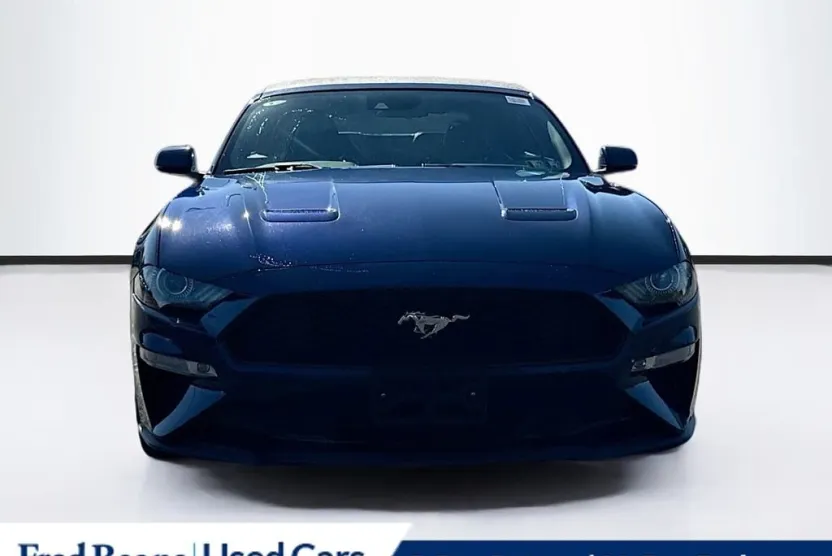 2019 Ford Mustang EcoBoost Premium photo 1