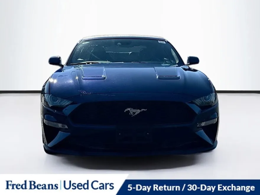 2019 Ford Mustang EcoBoost Premium photo 1