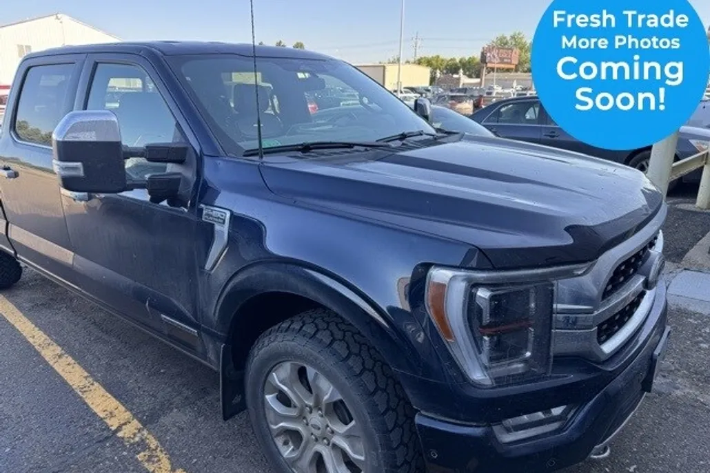 2022 Ford F-150 Platinum photo 1