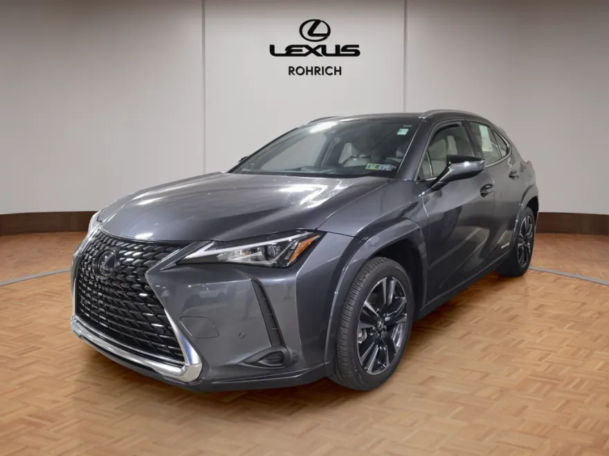 2022 Lexus UX 250h photo 1