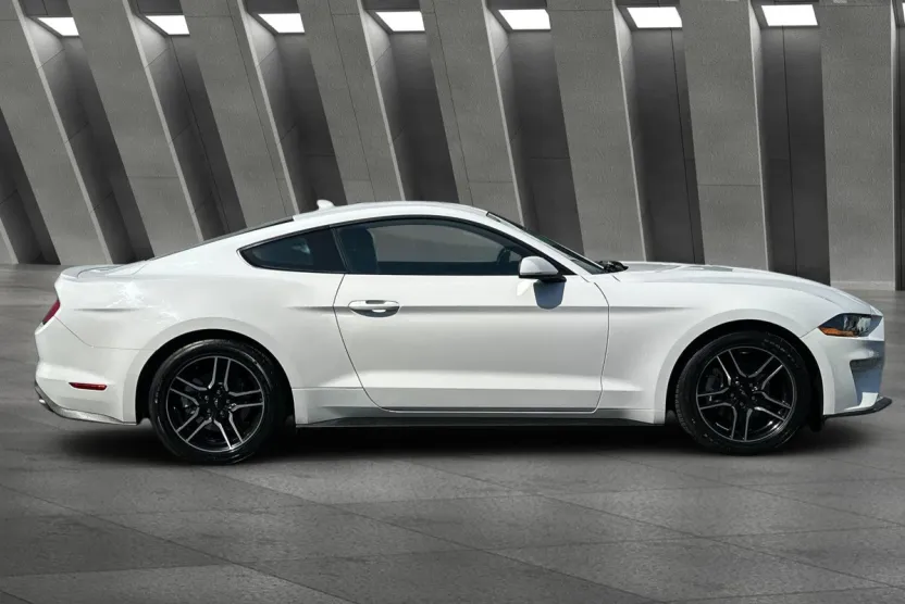 2023 Ford Mustang EcoBoost Premium photo 1