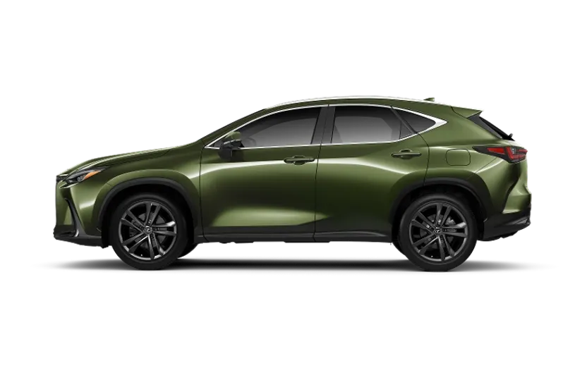 2025 Lexus NX Luxury AWD photo 1