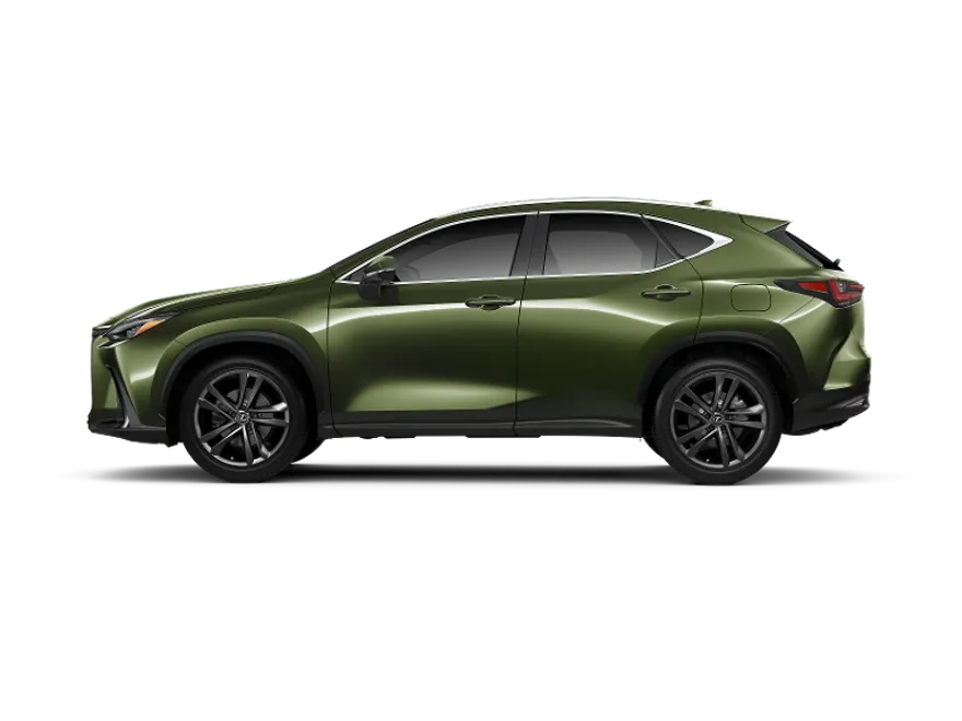 2025 Lexus NX Luxury AWD photo 1