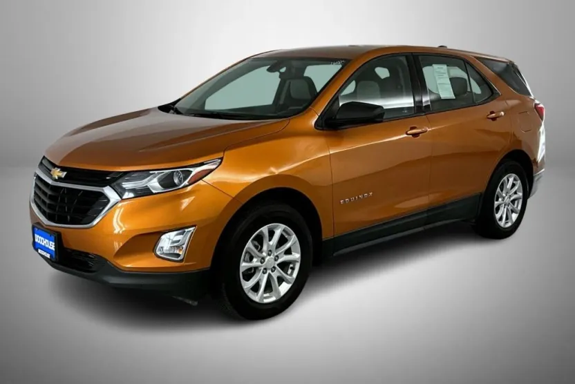 2018 Chevrolet Equinox LS photo 1