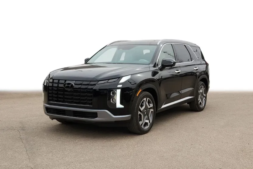 2025 Hyundai Palisade Limited photo 1