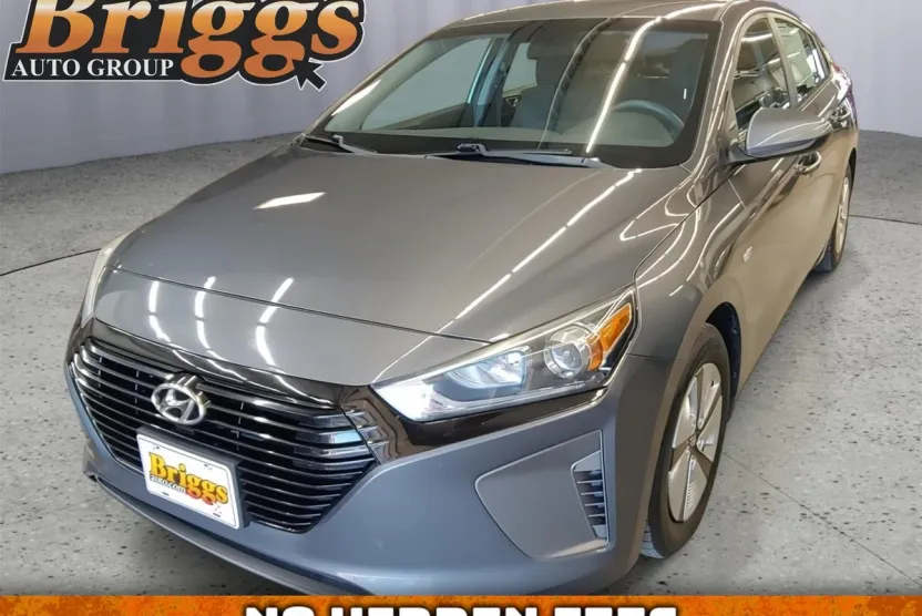 2019 Hyundai Ioniq Blue photo 1
