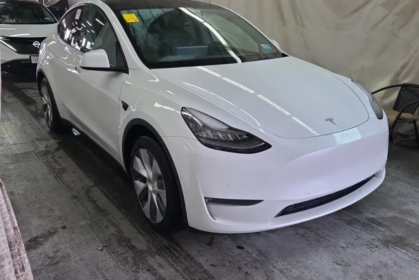 2020 Tesla Model Y Long Range photo 1