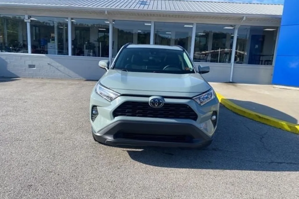 2019 Toyota RAV4 XLE photo 1