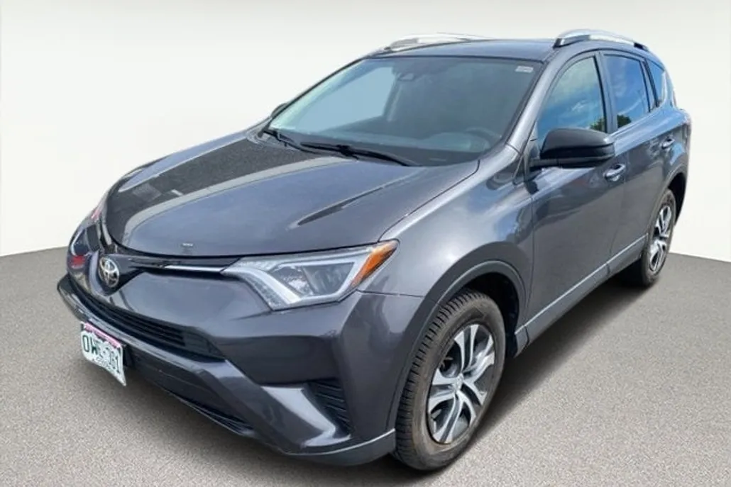 2018 Toyota RAV4 LE photo 1