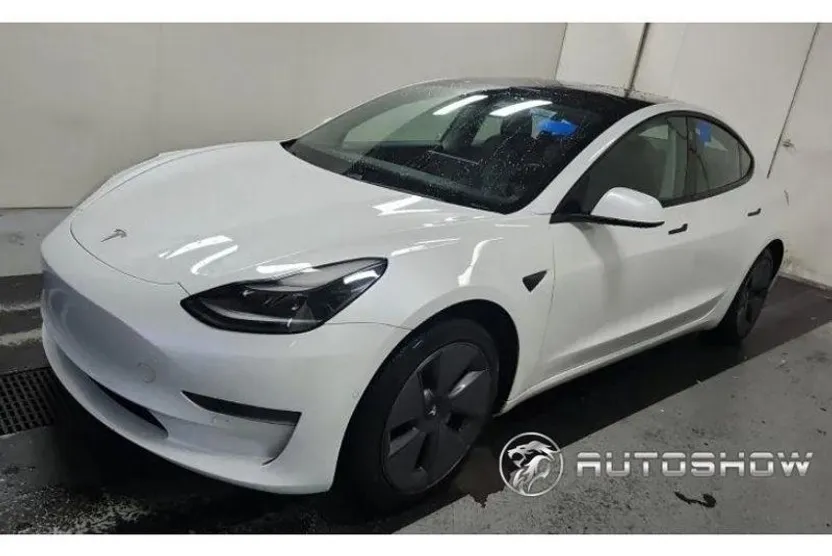 2021 Tesla Model 3 Standard Range Plus photo 1