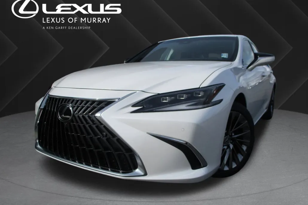 2025 Lexus ES 300h Luxury photo 1