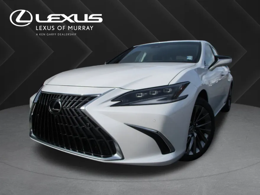 2025 Lexus ES 300h Luxury photo 1