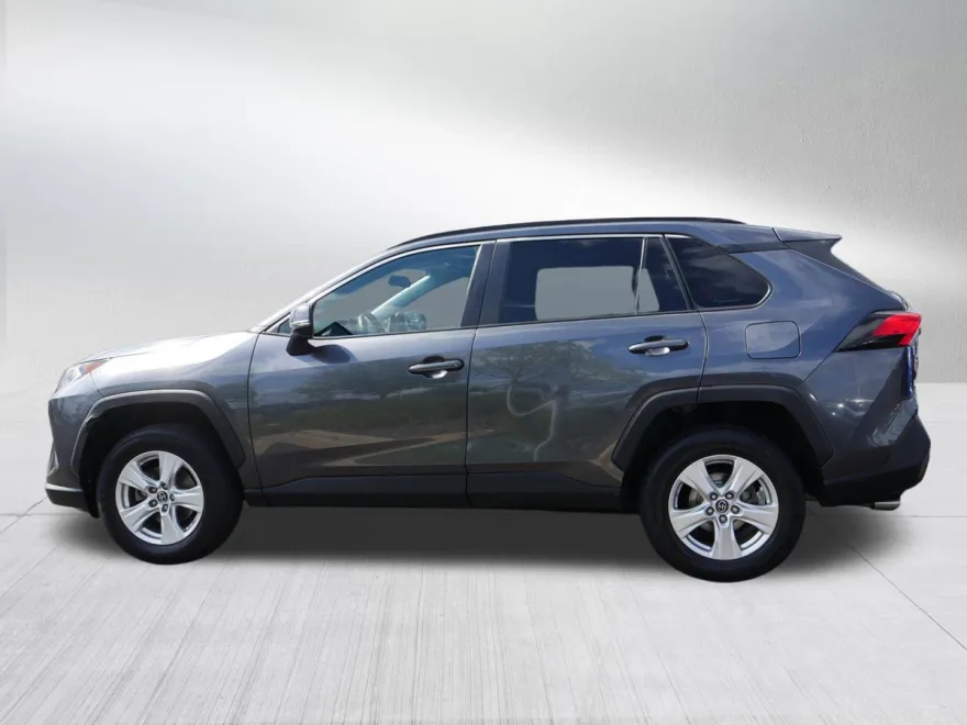 2019 Toyota RAV4 XLE photo 1