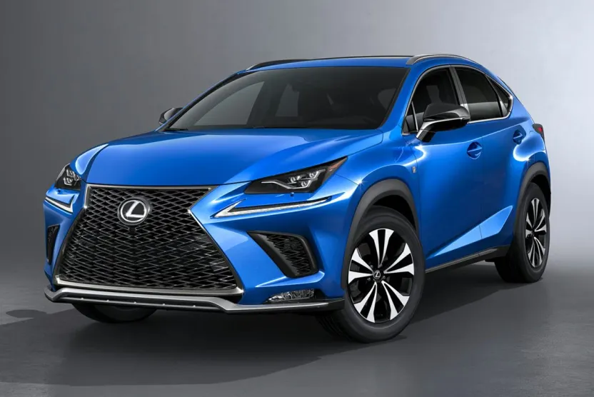 2019 Lexus NX 300 Luxury photo 1