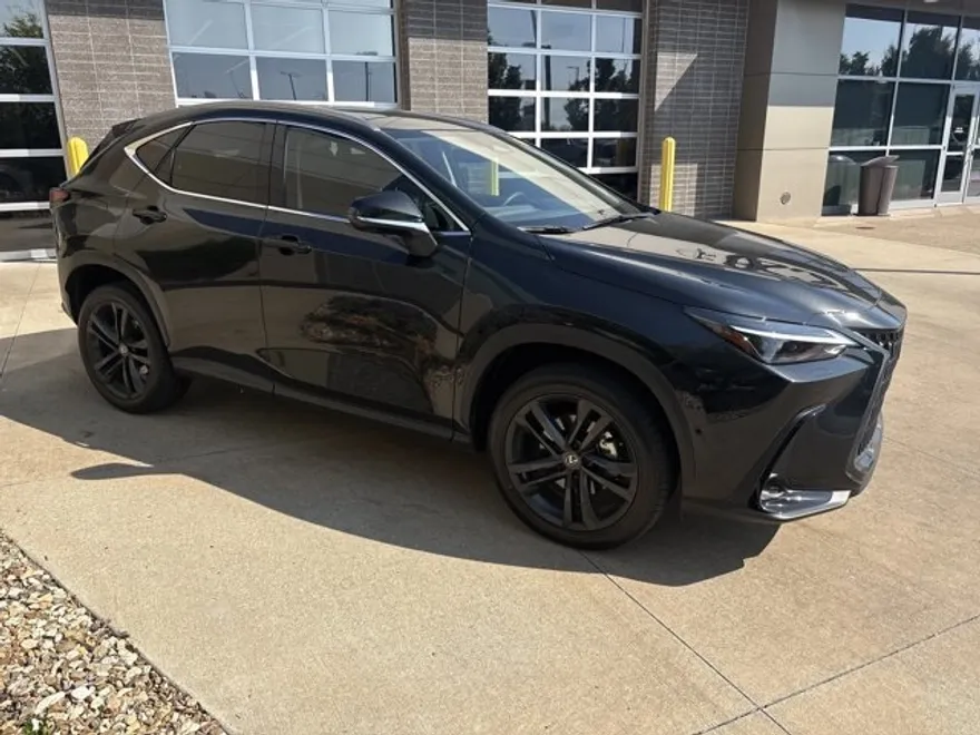 2025 Lexus NX Luxury photo 1