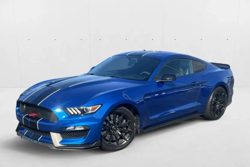 2017 Ford Mustang Shelby photo 1