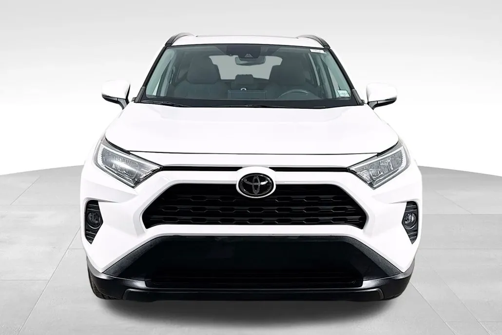 2019 Toyota RAV4 XLE photo 1