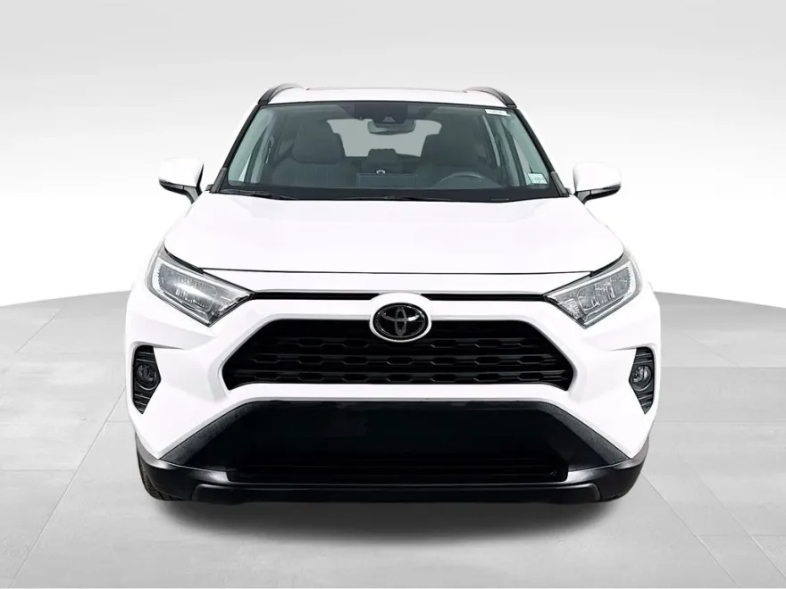 2019 Toyota RAV4 XLE photo 1
