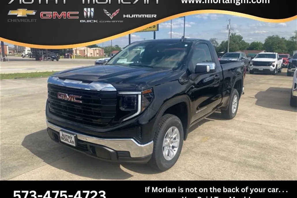 2025 Gmc Sierra 1500 Pro photo 1