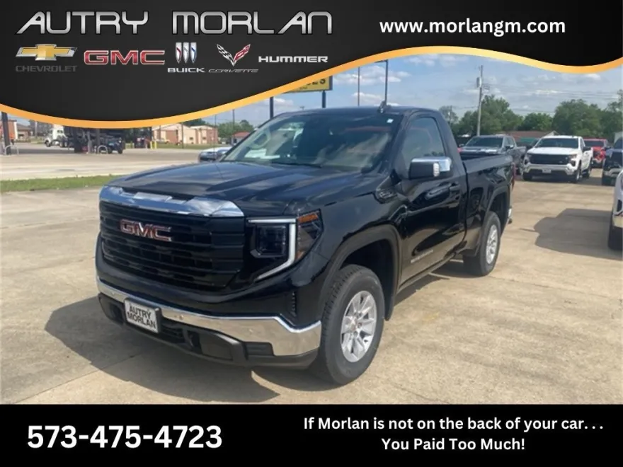 2025 Gmc Sierra 1500 Pro photo 1