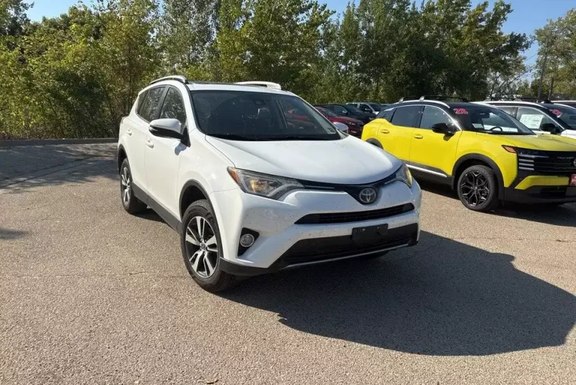 2017 Toyota RAV4 XLE photo 1