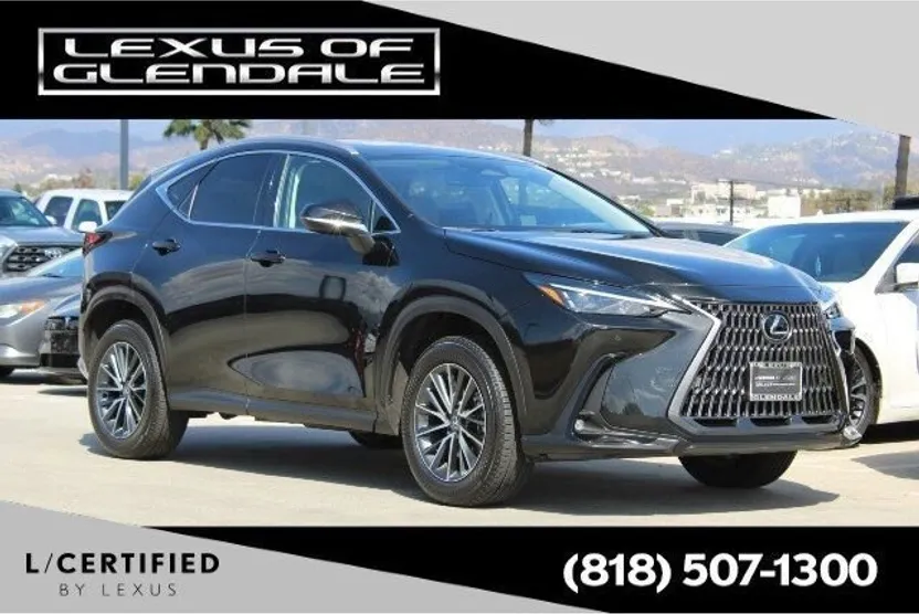 2025 Lexus NX 350h photo 1