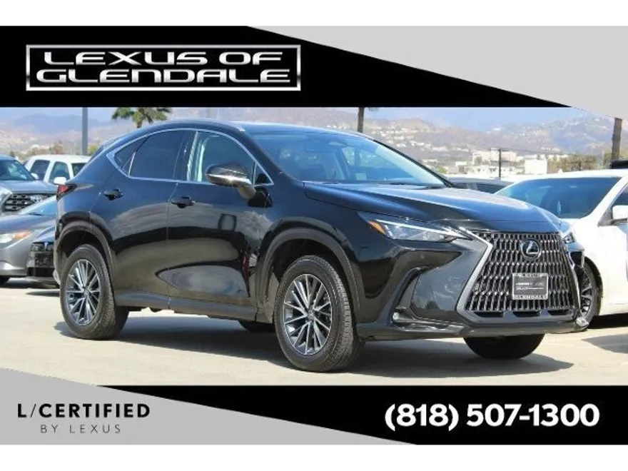 2025 Lexus NX 350h photo 1