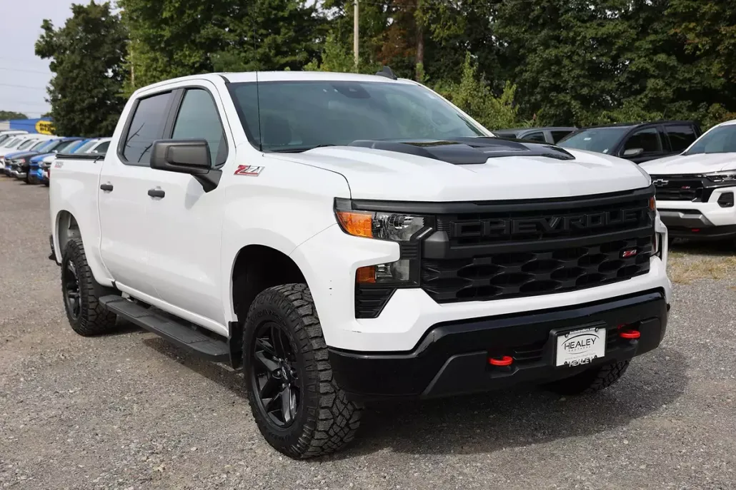 2022 Chevrolet Silverado 1500 Custom Trail Boss photo 1