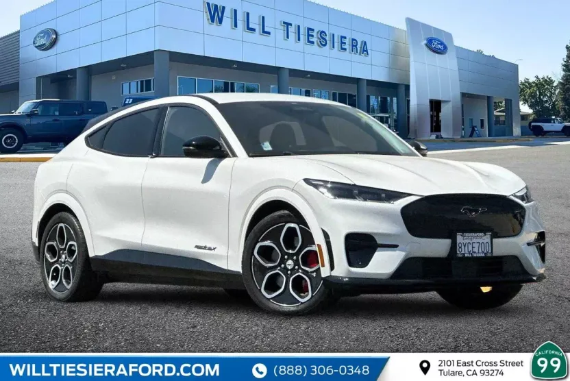 2021 Ford Mustang Mach-E GT photo 1