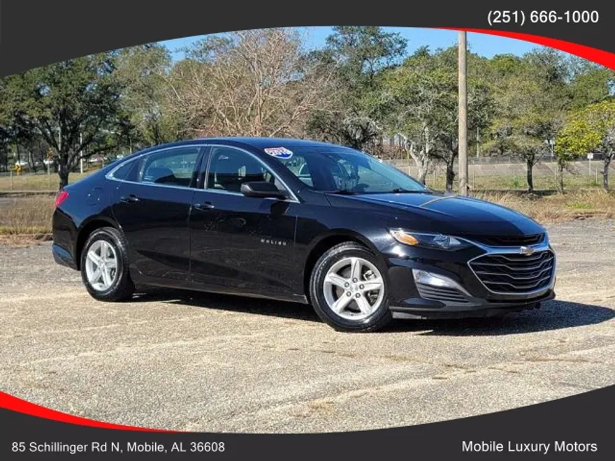 2019 Chevrolet Malibu LS photo 1