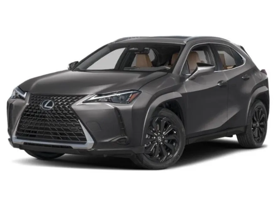 2025 Lexus UX Premium photo 1