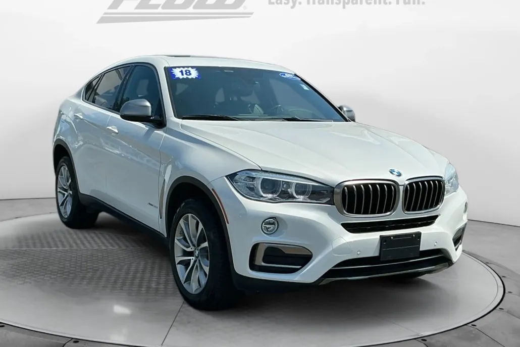 2018 Bmw X6 xDrive35i photo 1