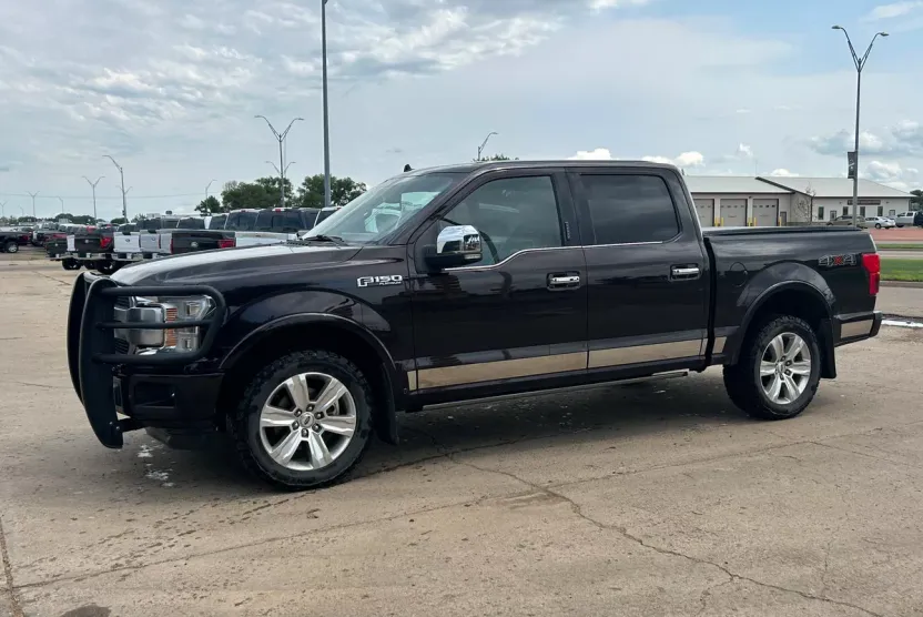 2018 Ford F-150 Platinum photo 1