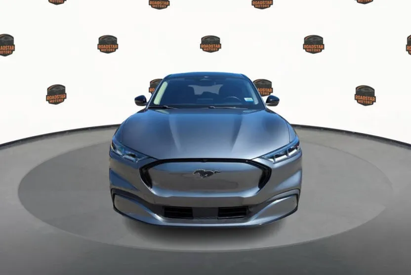 2021 Ford Mustang Mach-E Premium photo 1