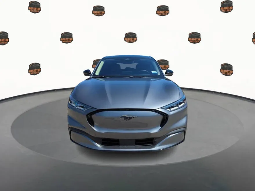 2021 Ford Mustang Mach-E Premium photo 1